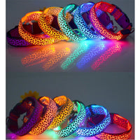 NightGlow LED Hondenhalsband | Veilig en zichtbaar wandelen met deze lichtgevende hondenhalsband