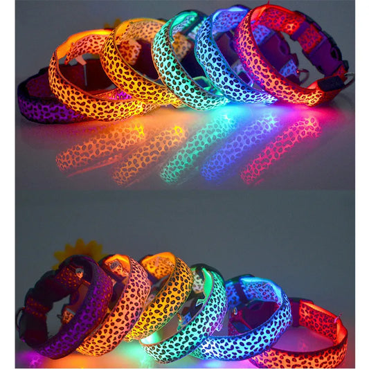 NightGlow LED Hondenhalsband | Veilig en zichtbaar wandelen met deze lichtgevende hondenhalsband