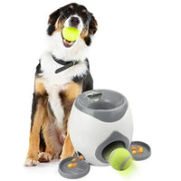 RegalPlay | Interactieve automatische ballenwerper