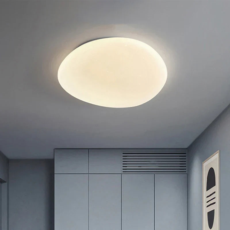 LED Plafondlamp Organische Natuurlijke Steen Vorm