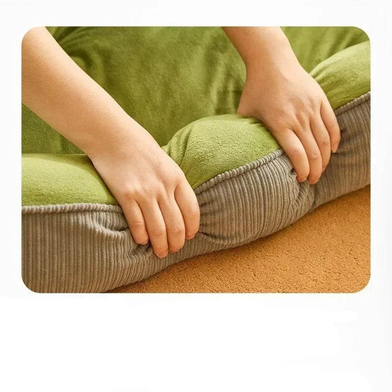 Ideale plek voor een kat om te ontspannen