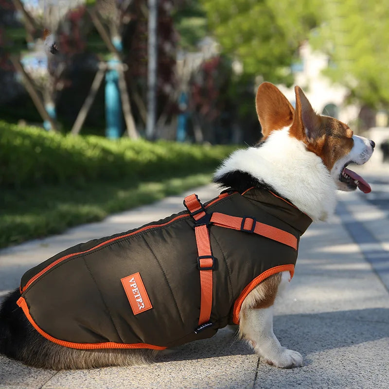 VivaPet Wintervest | Waterdichte hondenmantel met tuig voor chihuahua, yorkie en andere kleine honden