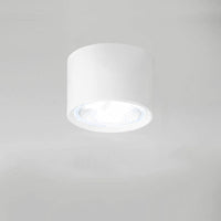 LED Plafondspot Cilinder | Verstelbaar Spotlight Design
