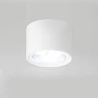 LED Plafondspot Cilinder | Verstelbaar Spotlight Design