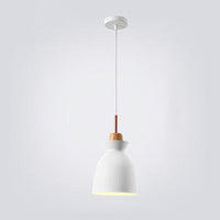 AuroraLite Nordic Hanglamp | Metaalontwerp | 1-Licht | Moderne kleurvarianten