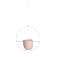 Luxe Moderne Hangende Potten