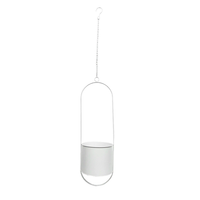 Luxe Moderne Hangende Potten
