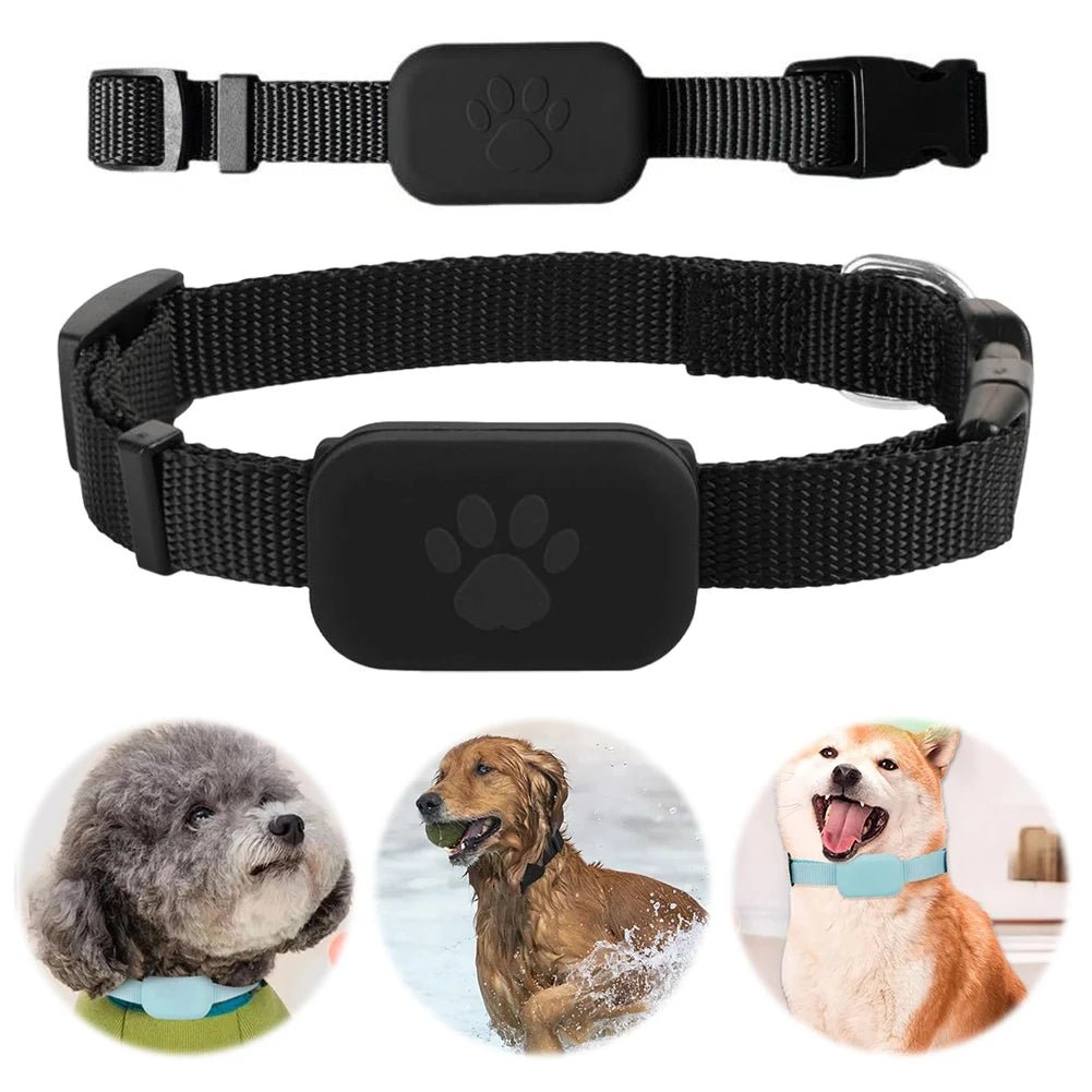 TAILMAP – Slimme GPS-Huisdier Tracker met verstelbare halsband voor honden en katten