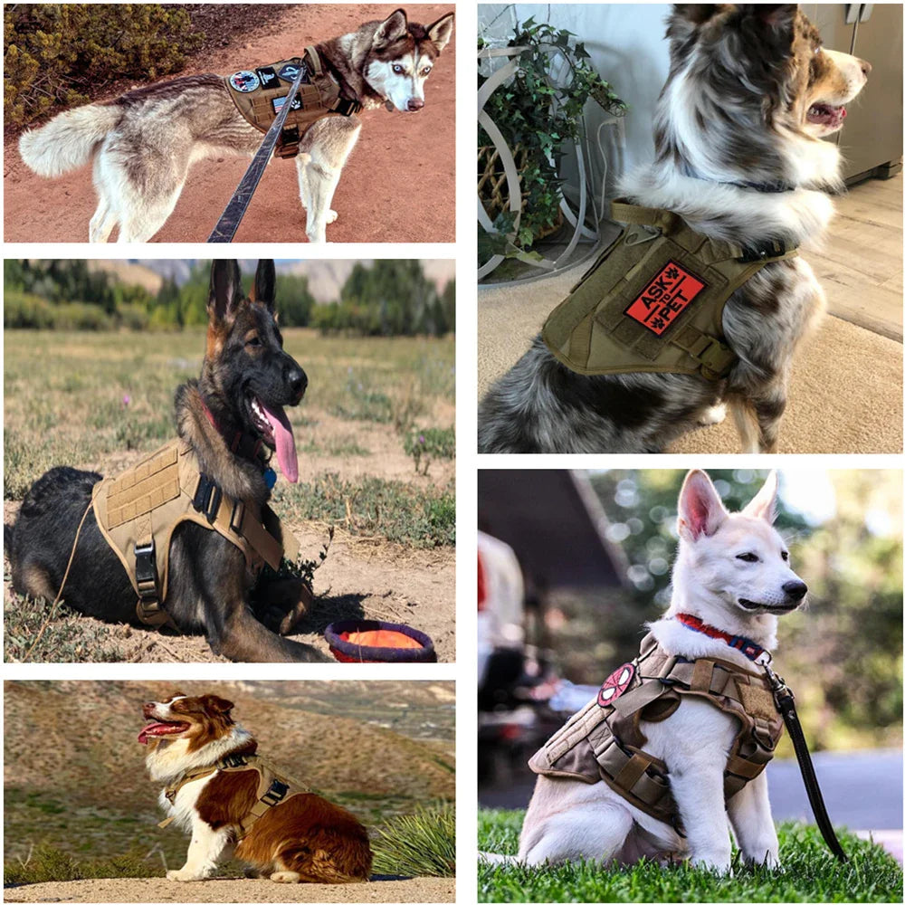 TacticalElite K9 Harness and Leash Set | Military dog harness for large dogs with leash for training