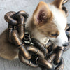 ChainLeash | De riem die mode en functie combineert