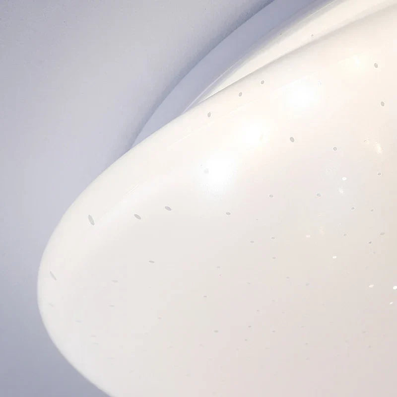 LED Plafondlamp Organische Natuurlijke Steen Vorm