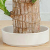 EleganceWood | Zuiver de binnenlucht met elegantie