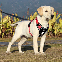 LuxPaw | Reflecterend no-pull harnas met superieur comfort en ademend vermogen