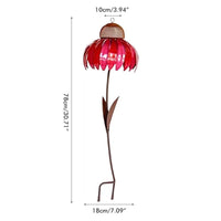 Coneflower Vogelvoeder