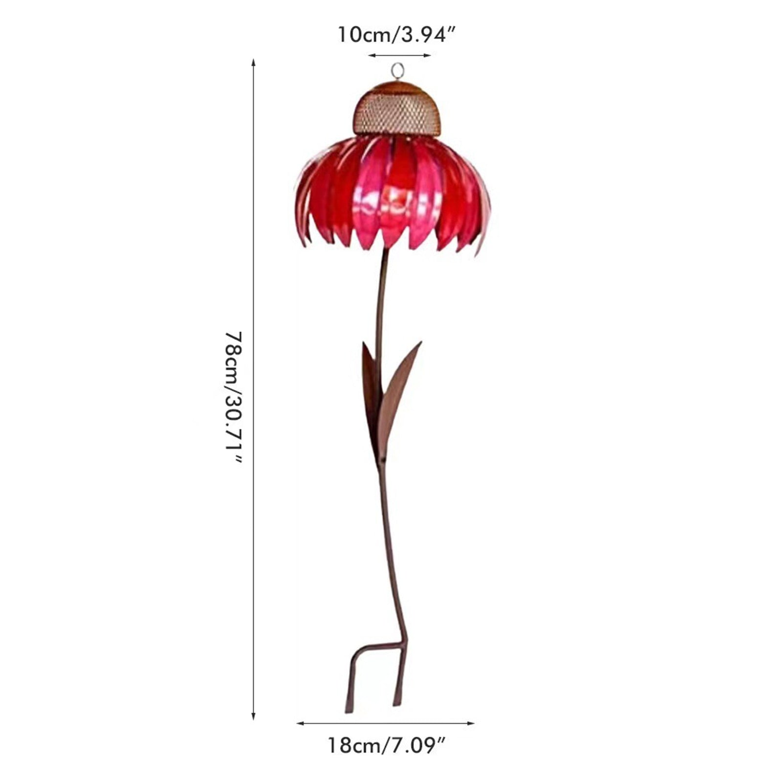 Coneflower Vogelvoeder
