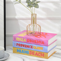 Stijlvolle Decoratieve Accentboeken