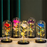 Perpetuele Rozen Dome Licht