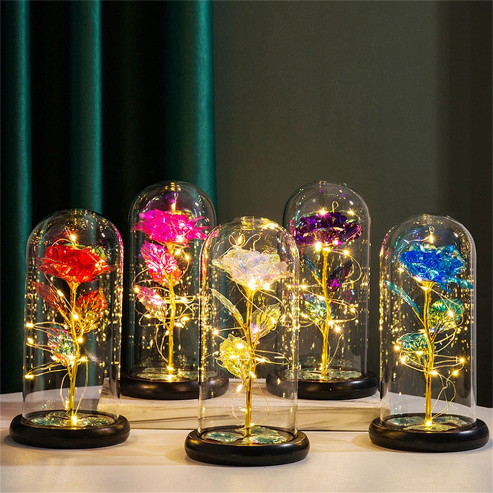 Perpetuele Rozen Dome Licht