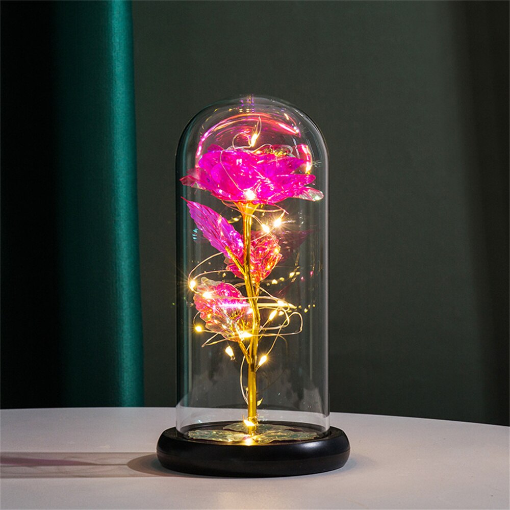 Perpetuele Rozen Dome Licht