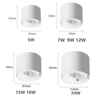 Paulina Opbouw Downlight