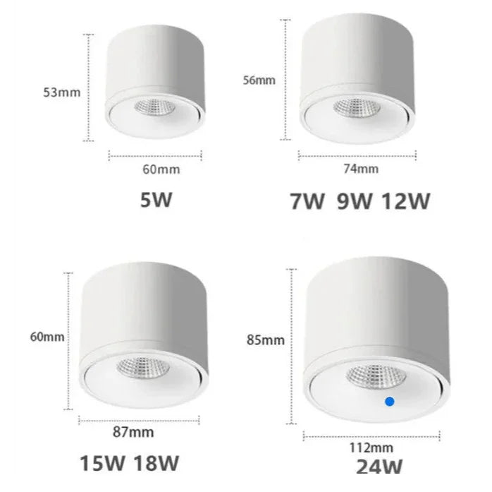 Paulina Opbouw Downlight