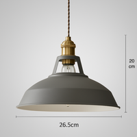 Industrieel Kleurrijke Metalen Koepel Hanglamp LED 1-lamp