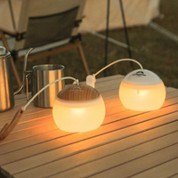 Draagbare LED Campinglamp Buiten Hanglamp
