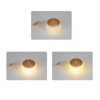 Draagbare LED Campinglamp Buiten Hanglamp