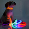 NightGlow LED Hondenhalsband | Veilig en zichtbaar wandelen met deze lichtgevende hondenhalsband