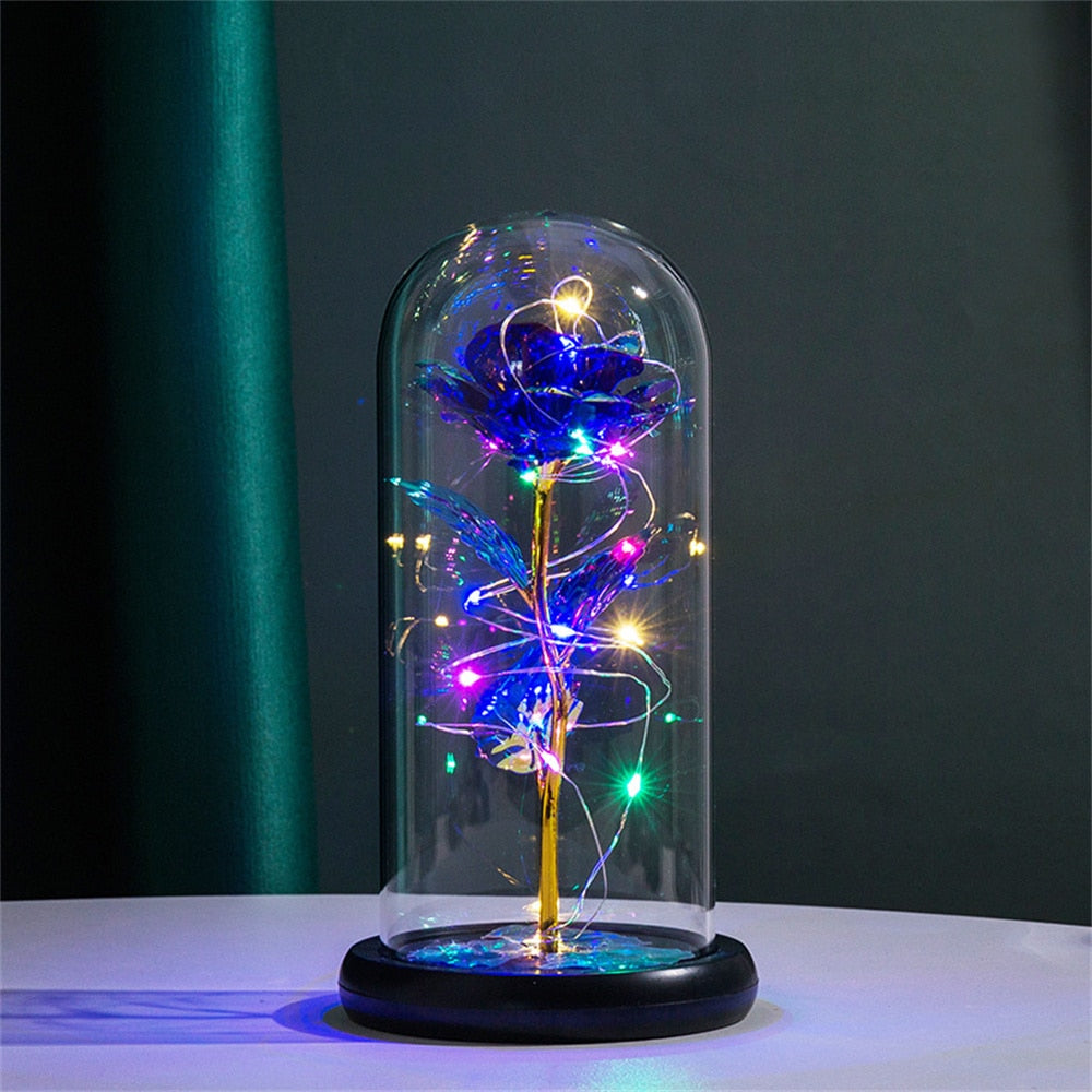 Perpetuele Rozen Dome Licht