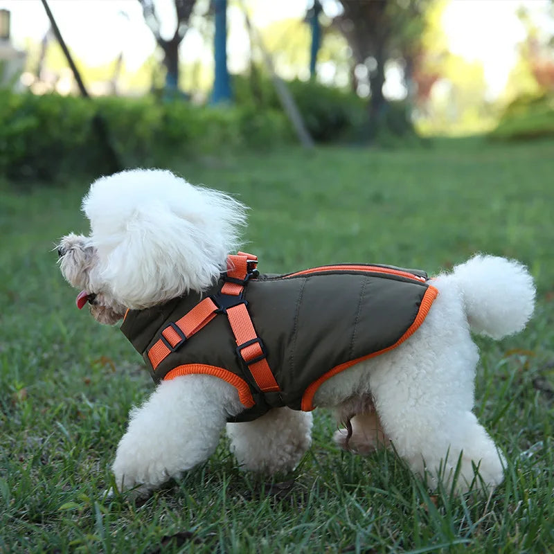 VivaPet Wintervest | Waterdichte hondenmantel met tuig voor chihuahua, yorkie en andere kleine honden