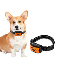 QuietEase | Comfortable anti-barking solution for all breeds