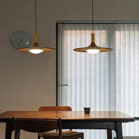 Elenorra Hanglamp