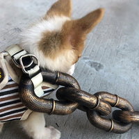 ChainLeash | De riem die mode en functie combineert