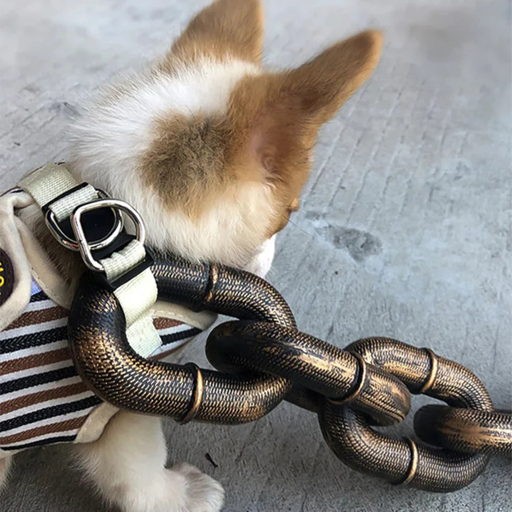 ChainLeash | De riem die mode en functie combineert