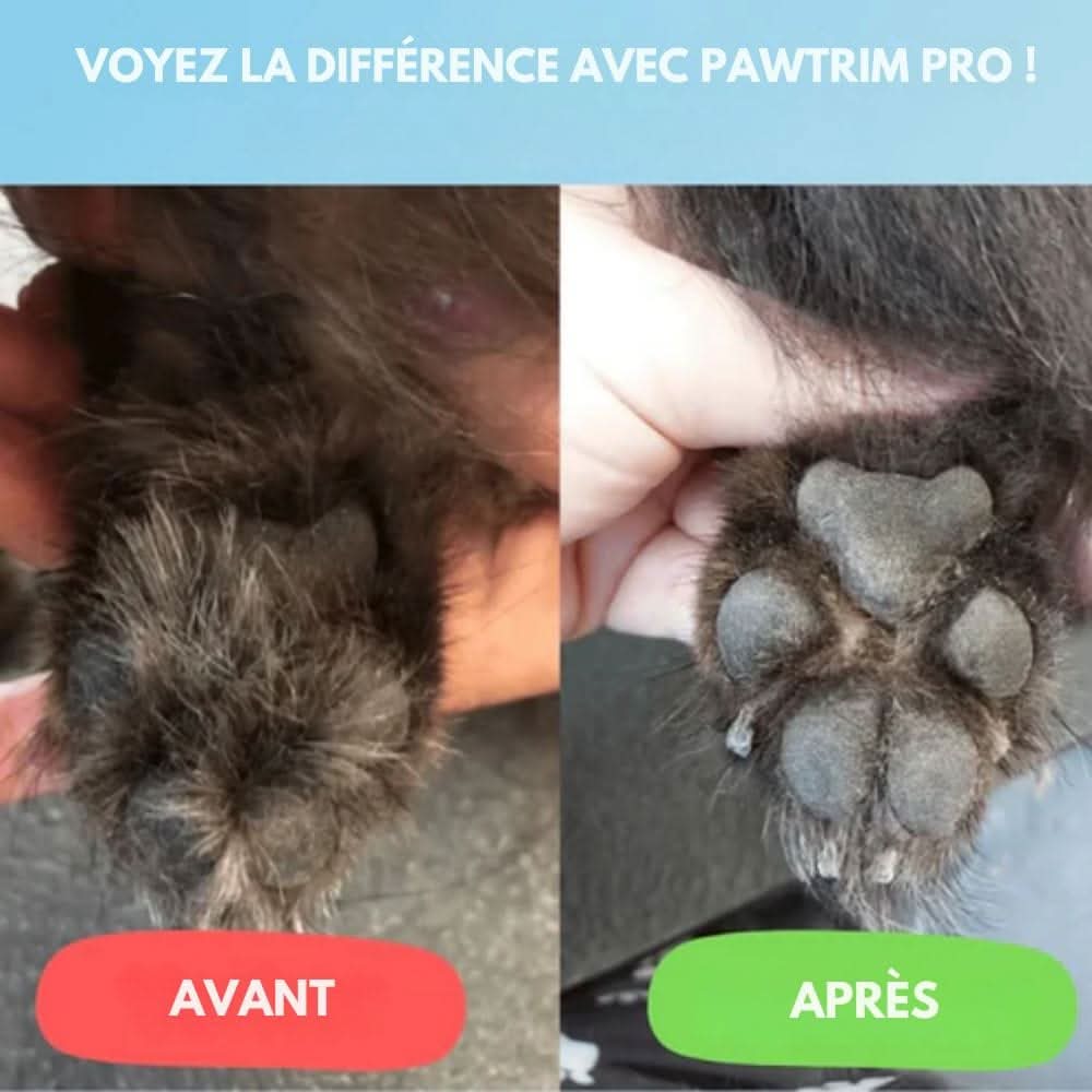Skanto | SilentPet Trimmer – Stille vachttrimmer voor gevoelige gebieden bij hond & kat