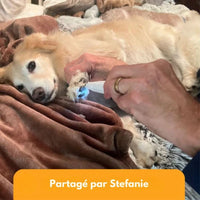 SilentPet Trimmer – Stille vachttrimmer voor gevoelige gebieden bij hond & kat