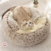 CozyPaws | Elke kat verdient een knus, stressvrij plekje om te ontspannen