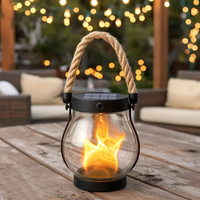 Zonne-Gartenlantaarns | Vlam-effect | Weerbestendig | WildLight