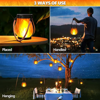 Zonne-Gartenlantaarns | Vlam-effect | Weerbestendig | WildLight