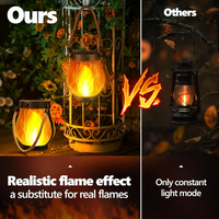 Zonne-Gartenlantaarns | Vlam-effect | Weerbestendig | WildLight