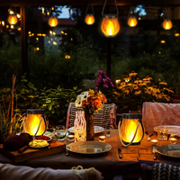 Zonne-Gartenlantaarns | Vlam-effect | Weerbestendig | WildLight