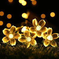 Perzikbloesem Lichtenketting