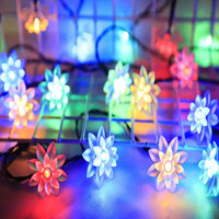 Perzikbloesem Lichtenketting