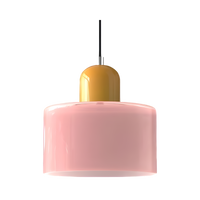 Nordic Iron Body Two-Tone Glass Pendant Light