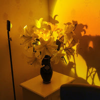 LED Kleurenprojector Vloerlamp | Minimalistisch Halo Licht Effect