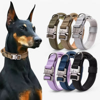 Hondenhalsband met Handvat – Robuust & Verstelbaar
