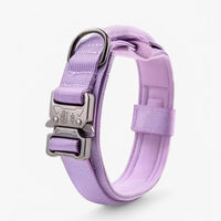 Hondenhalsband met Handvat – Robuust & Verstelbaar