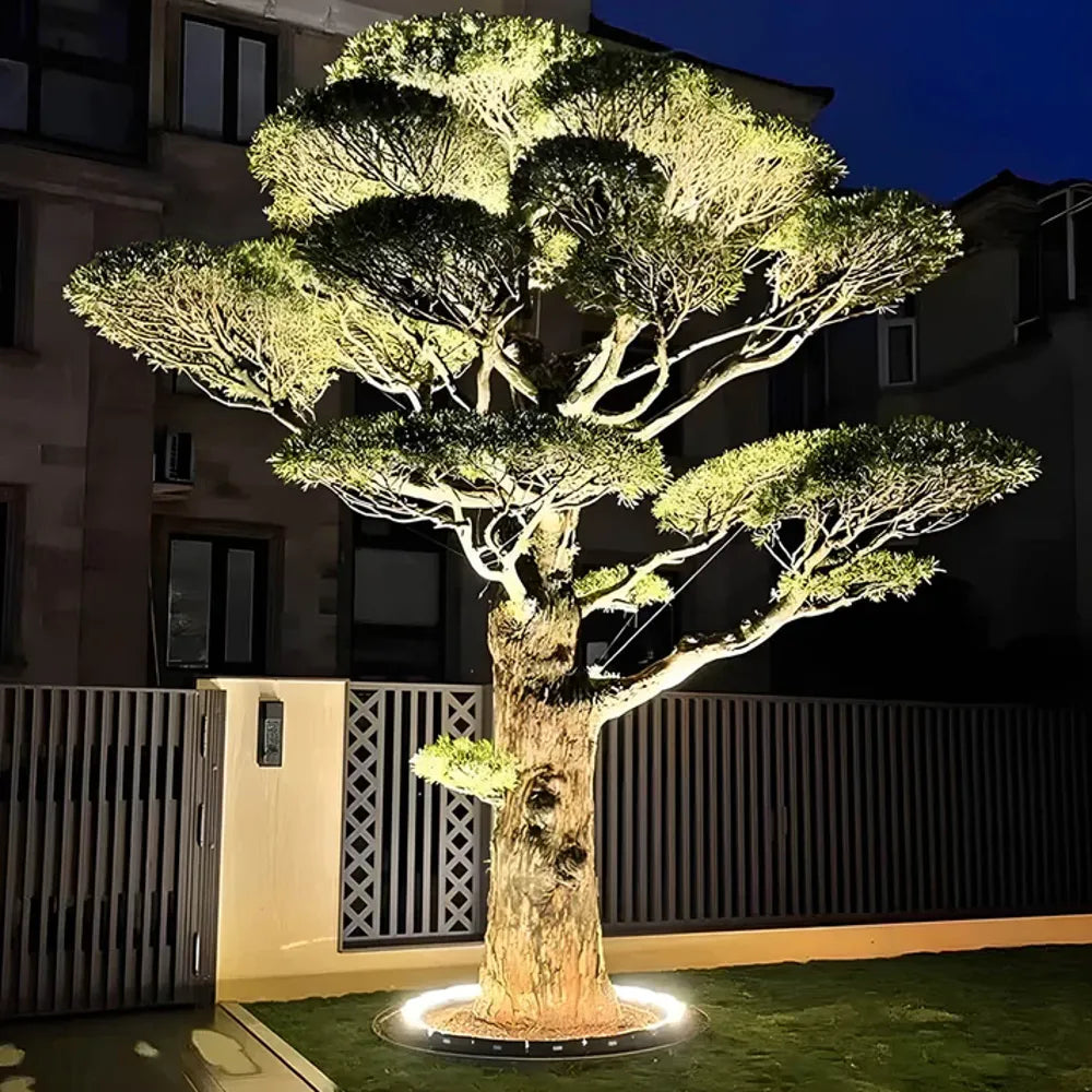 Buiten Spotlicht Voor Boom