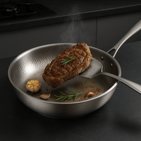 TITAN-PREMIUM PAN – Hoogwaardige titanium pan zonder coating voor alle kookplaten